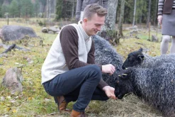 NLS BARLEY VEST, 100% OFÄRGAD ULL — BIRCH