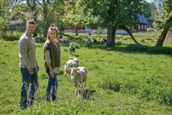 NLS POPPY PONCHO, 100% OFÄRGAD ULL — NUTMEG