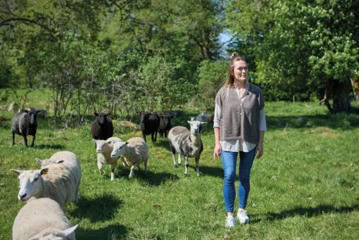 NLS POPPY PONCHO, 100% OFÄRGAD ULL — NUTMEG
