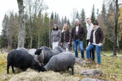 NLS SAP FULL ZIP, 100% OFÄRGAD ULL — NUTMEG