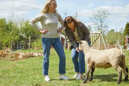 NLS TUNABO, 100% OFÄRGAD ULL — NUTMEG
